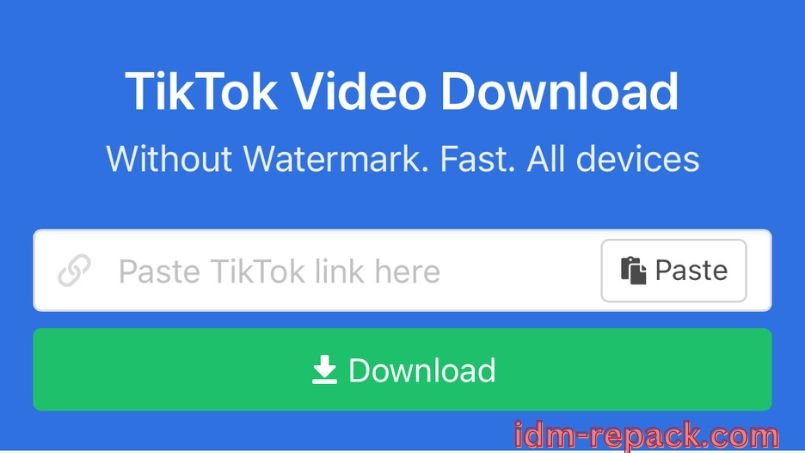 TikTok Downloader-2